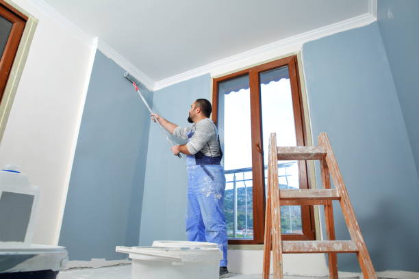 Best Painting for New Construction  in Royal Palm Estates, FL